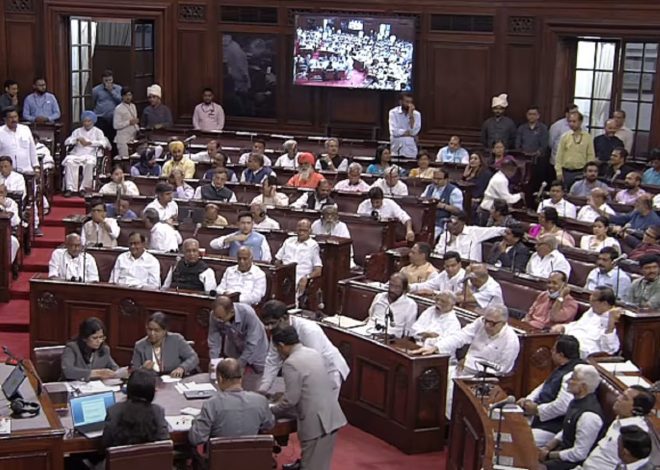 Delhi services Bill passed with 131 votes in Rajya Sabha